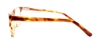 Picture of DNA 8494
