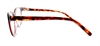 Picture of DNA 8496