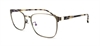 Picture of MOMENTUM 6598