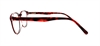 Picture of DNA 8743