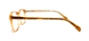 Picture of DNA 8753