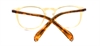 Picture of DNA 8753