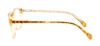 Picture of DNA 8858