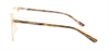 Picture of DNA 9058