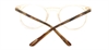 Picture of DNA 9058