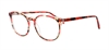 Picture of DNA 9092