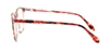 Picture of DNA 9092