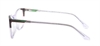 Picture of DNA 9097
