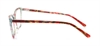 Picture of DNA 9102
