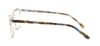 Picture of DNA 9102