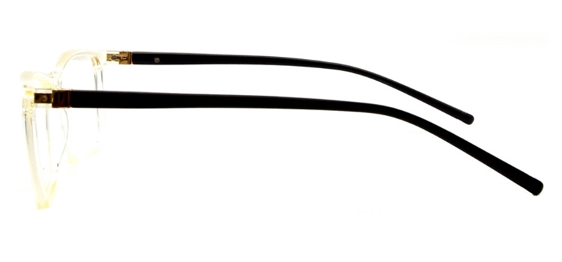 Picture of DNA 9304