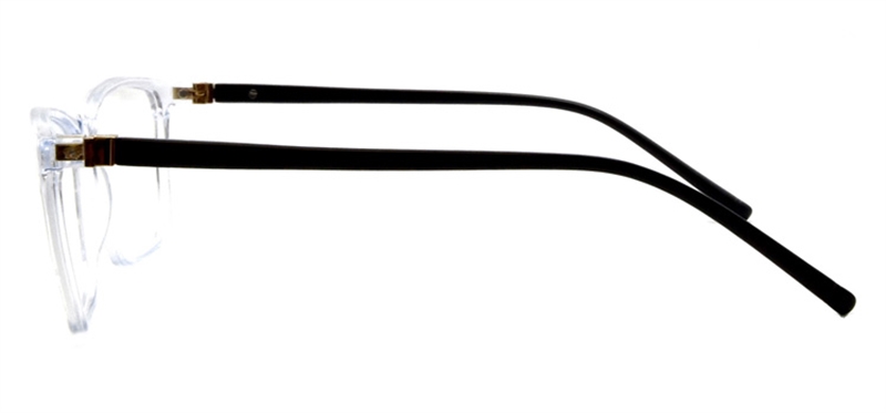 Picture of DNA 9307