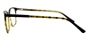 Picture of DNA 9409