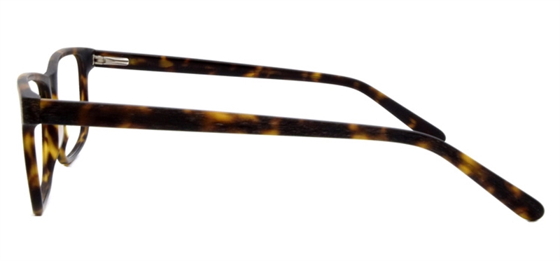 Picture of DNA 9565