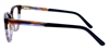 Picture of DNA 9648