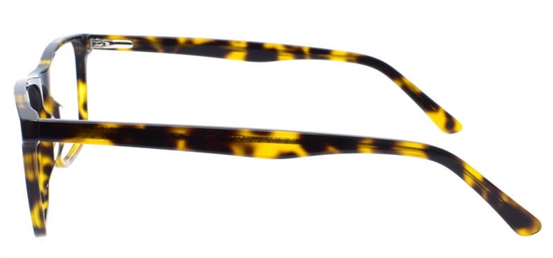 Picture of DNA 9960