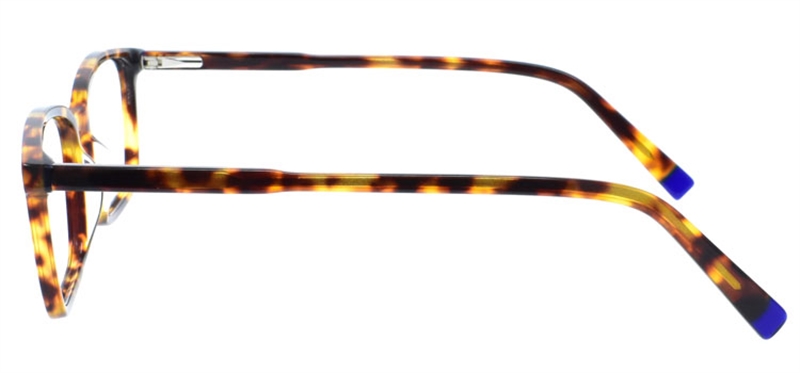 Picture of DNA 9861