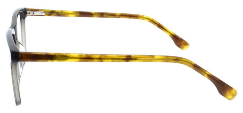 Picture of DNA 9911