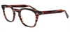 Picture of DNA 9993