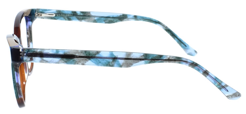 Picture of DNA 2008