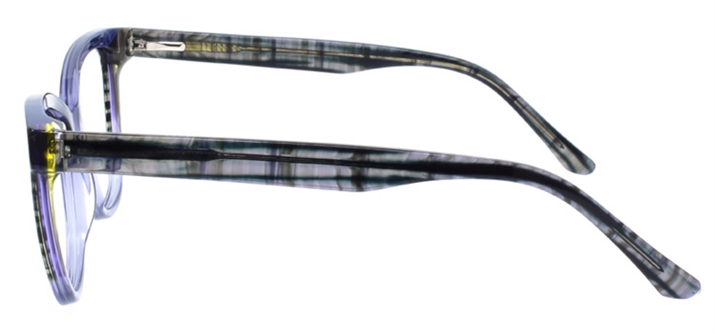 Picture of DNA 2008