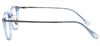 Picture of DNA 2317