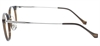 Picture of DNA 2498