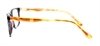 Picture of DNA 8083