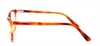 Picture of DNA 8116
