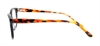 Picture of DNA 8196